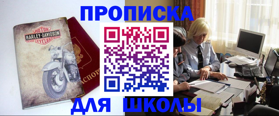 прописка штамп в Звенигово